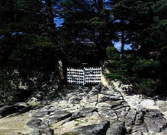 auf dem Weg zum Ziel...?